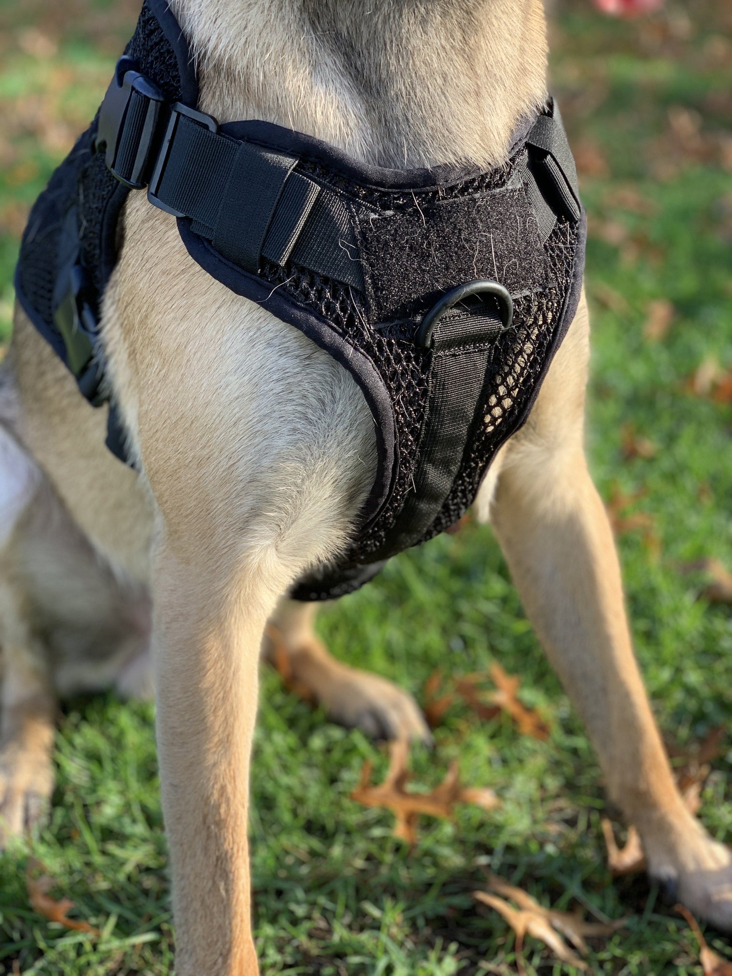 Artemis Dog Harness - No Pull, No Tug, No Choke, Adjustable, Breathable K-9 221B Tactical