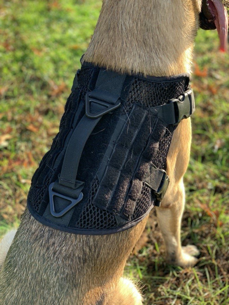 Artemis Dog Harness - No Pull, No Tug, No Choke, Adjustable, Breathable K-9 221B Tactical