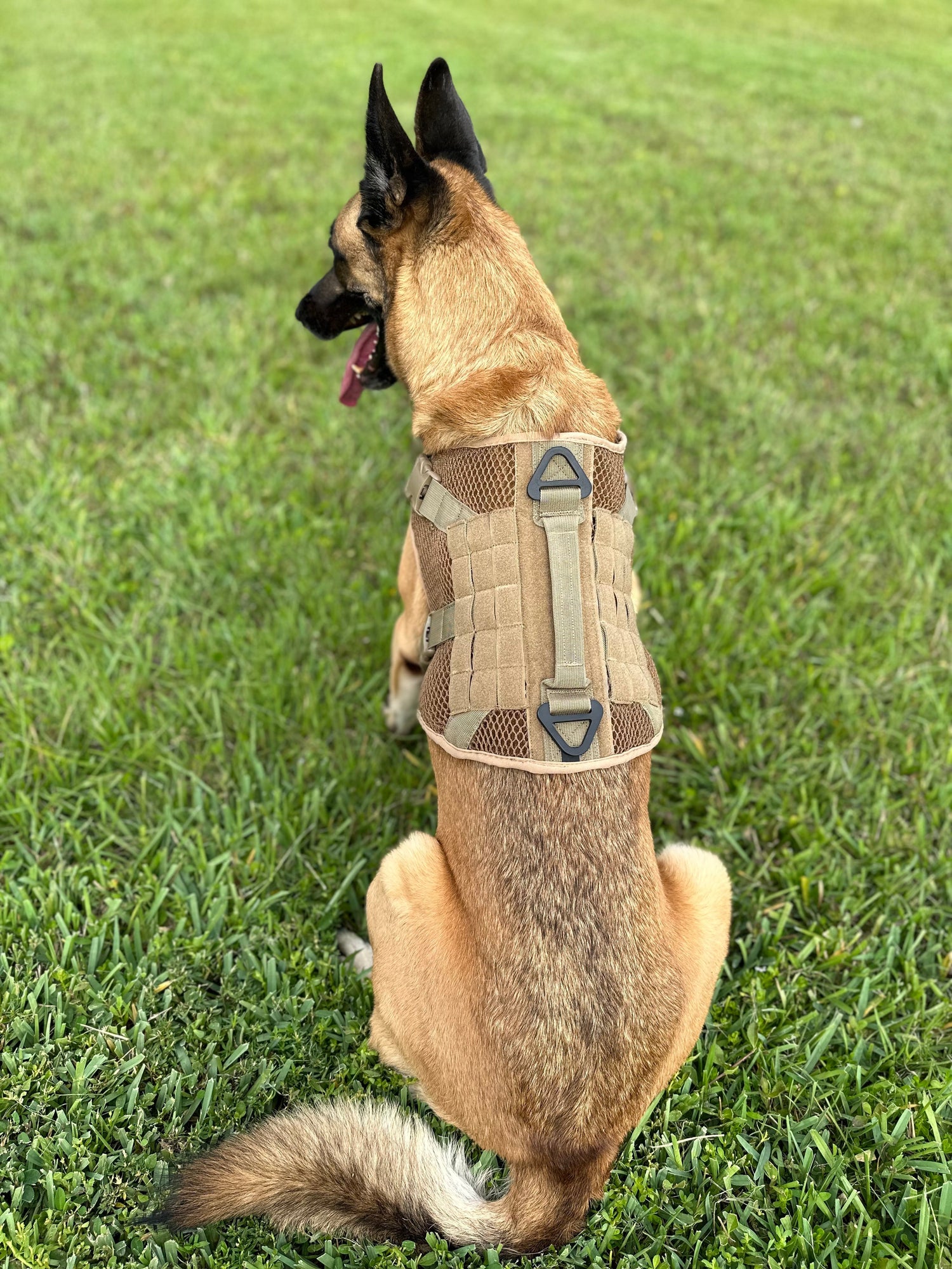 Artemis Dog Harness - No Pull No Tug No Choke Adjustable Breathable K-9 K-9 221B Tactical