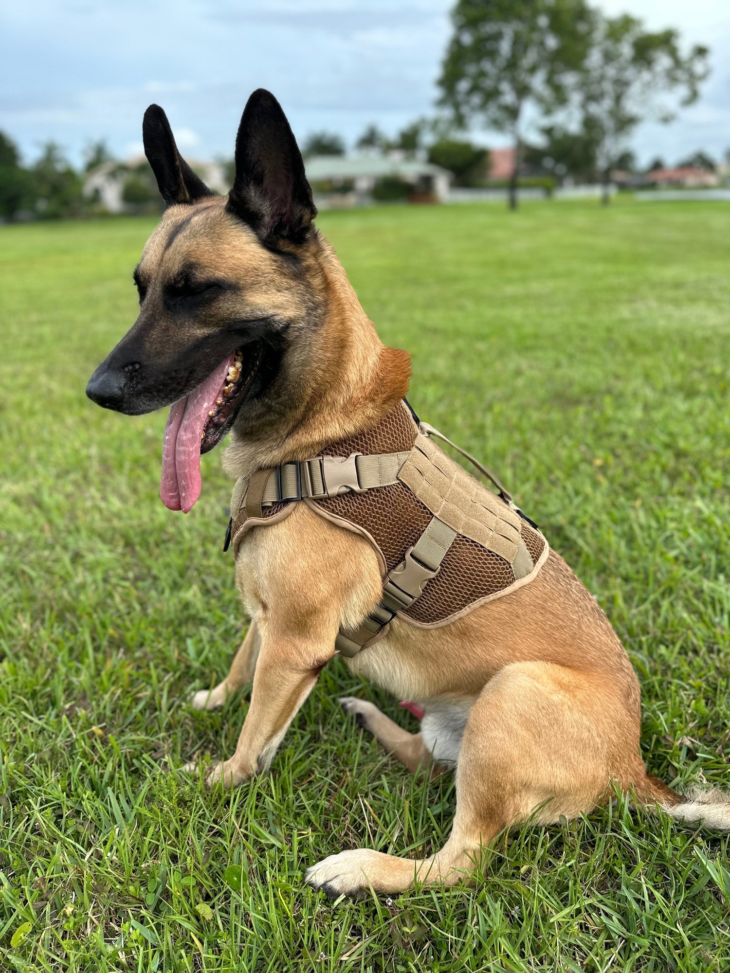 Artemis Dog Harness - No Pull No Tug No Choke Adjustable Breathable K-9 K-9 221B Tactical