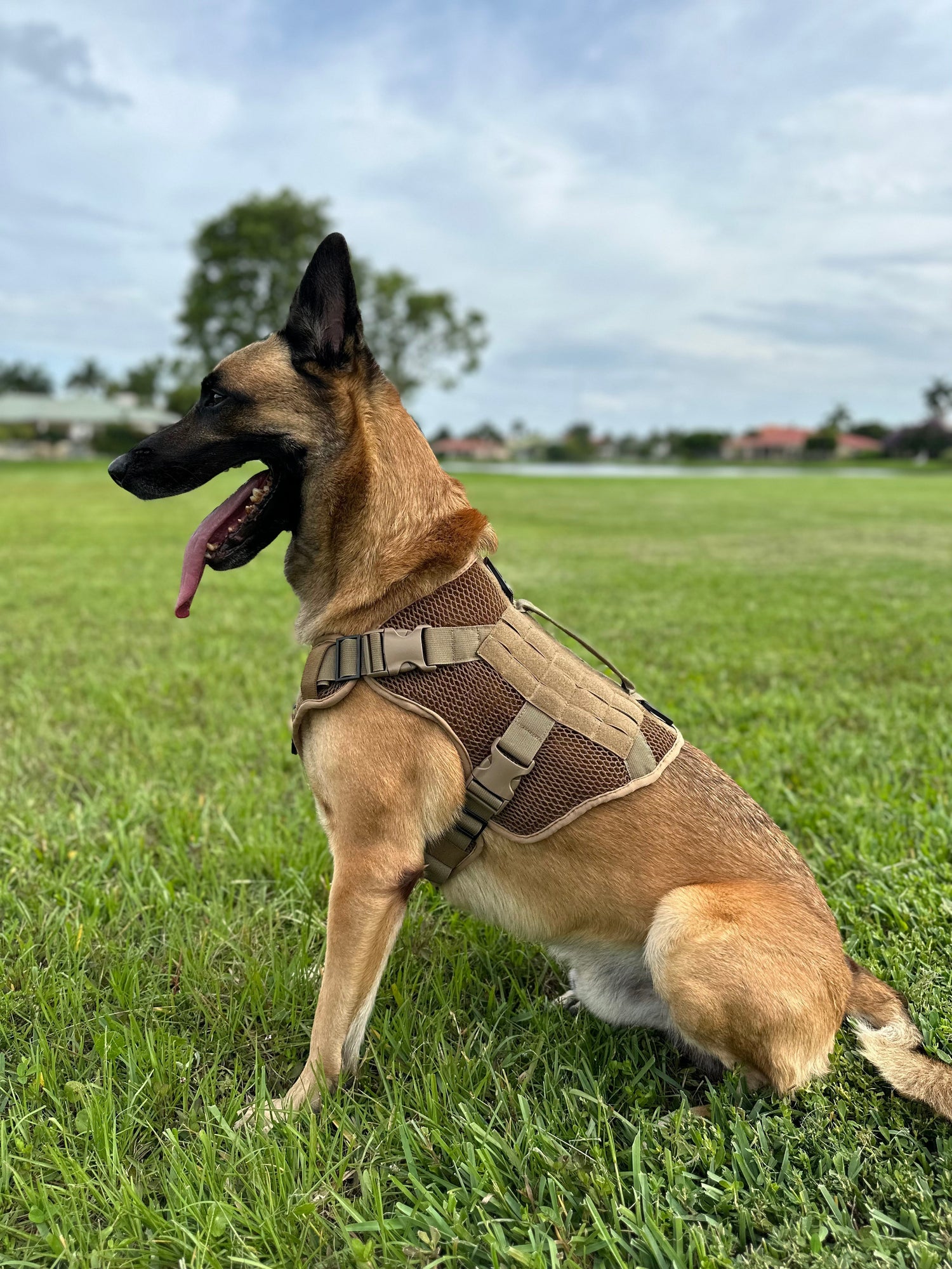 Artemis Dog Harness - No Pull No Tug No Choke Adjustable Breathable K-9 K-9 221B Tactical