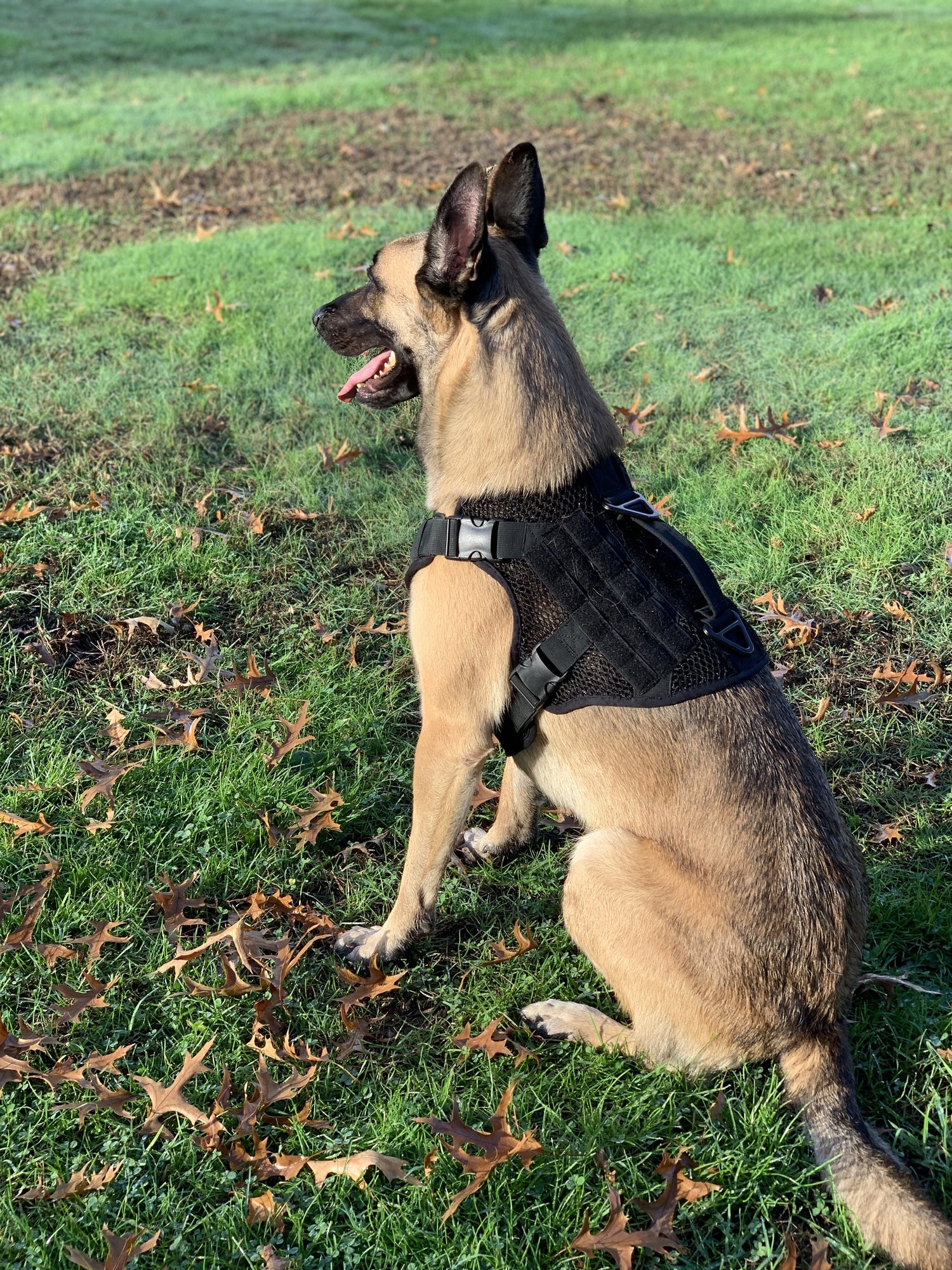 Artemis Dog Harness - No Pull, No Tug, No Choke, Adjustable, Breathable K-9 221B Tactical 