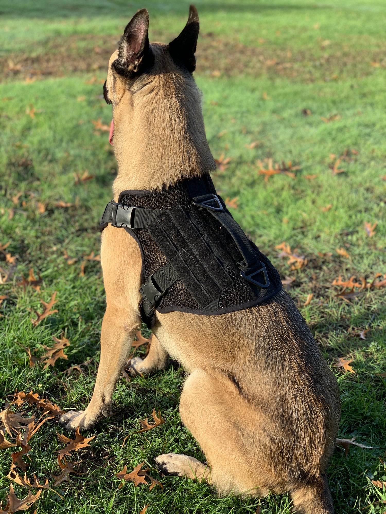 Artemis Dog Harness - No Pull, No Tug, No Choke, Adjustable, Breathable K-9 221B Tactical 