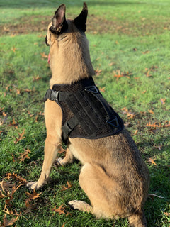 Artemis Dog Harness - No Pull, No Tug, No Choke, Adjustable, Breathable K-9 221B Tactical 